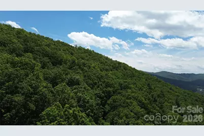 99999 Pink Fox Cove Road, Weaverville, NC 28787 - Photo 5