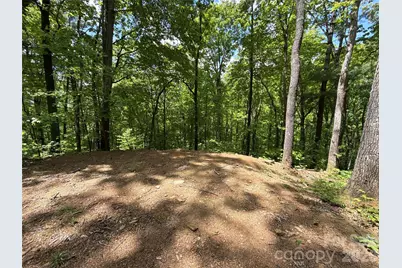 99999 Pink Fox Cove Road, Weaverville, NC 28787 - Photo 19