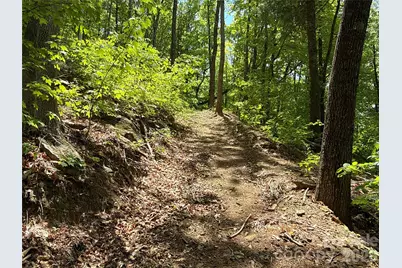 99999 Pink Fox Cove Road, Weaverville, NC 28787 - Photo 21