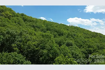99999 Pink Fox Cove Road, Weaverville, NC 28787 - Photo 3