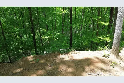 99999 Pink Fox Cove Road, Weaverville, NC 28787 - Photo 13