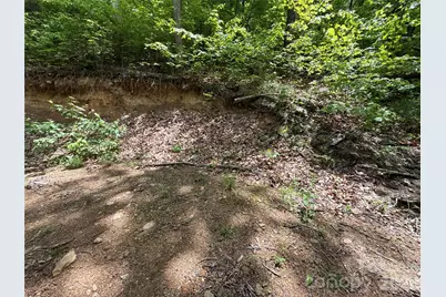 99999 Pink Fox Cove Road, Weaverville, NC 28787 - Photo 17