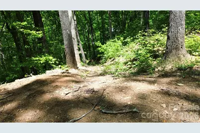 99999 Pink Fox Cove Road, Weaverville, NC 28787 - Photo 7