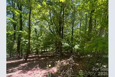 115 Bobby Jones Drive #45, Hendersonville, NC 28739 - Photo 15