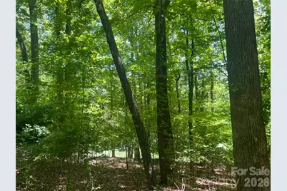 115 Bobby Jones Drive #45, Hendersonville, NC 28739 - Photo 7