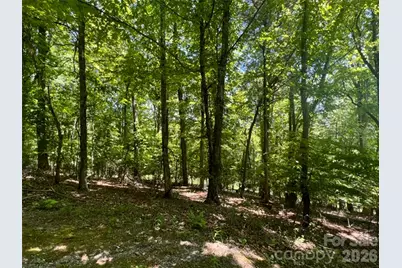 115 Bobby Jones Drive #45, Hendersonville, NC 28739 - Photo 11
