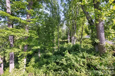 17 Tulip Poplar Trail #30, Asheville, NC 28804 - Photo 7