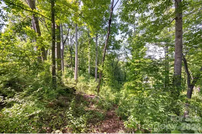 17 Tulip Poplar Trail #30, Asheville, NC 28804 - Photo 5