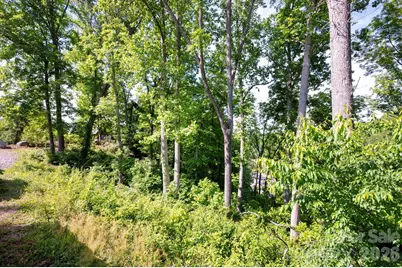17 Tulip Poplar Trail #30, Asheville, NC 28804 - Photo 11