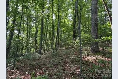 000 Gettys Road, Ellenboro, NC 28040 - Photo 7