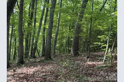 000 Gettys Road, Ellenboro, NC 28040 - Photo 1