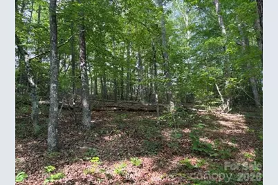 000 Gettys Road, Ellenboro, NC 28040 - Photo 5