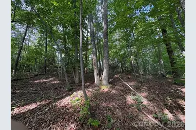 000 Gettys Road, Ellenboro, NC 28040 - Photo 9