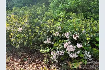 000 Gettys Road, Ellenboro, NC 28040 - Photo 3