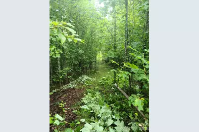 0 Osprey Lane, Nebo, NC 28761 - Photo 13