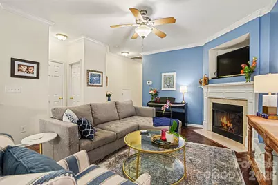 14735 Lions Paw Street, Charlotte, NC 28273 - Photo 3