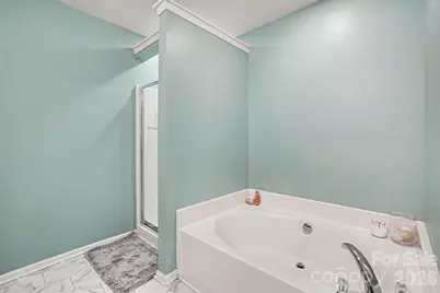 14735 Lions Paw Street, Charlotte, NC 28273 - Photo 13