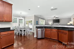 719 Fresia Dr, Tega Cay, SC 29708 - Photo 9