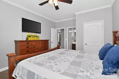 719 Fresia Drive, Tega Cay, SC 29708 - Photo 21