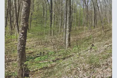 000 Heather Way, Waynesville, NC 28786 - Photo 1