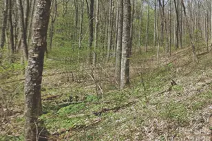 000 Heather Way, Waynesville, NC 28786 - Photo 1
