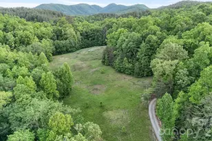 415 Reel Hollow Rd, Marion, NC 28752 - Photo 5