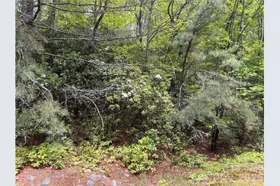 1054 Hawk Mountain Road, Lake Toxaway, NC 28747 - Photo 15