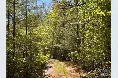 1054 Hawk Mountain Road, Lake Toxaway, NC 28747 - Photo 9