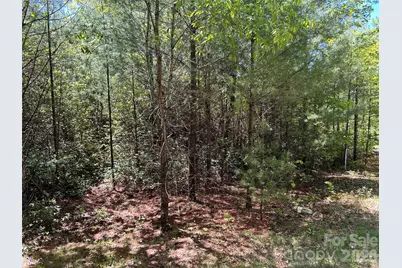 1054 Hawk Mountain Road, Lake Toxaway, NC 28747 - Photo 11