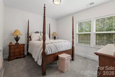 310 Triple Ponds Court, Clover, SC 29710 - Photo 29