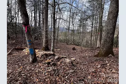 Lot 127 Bear River Lodge Trail, Marshall, NC 28753 - Photo 3