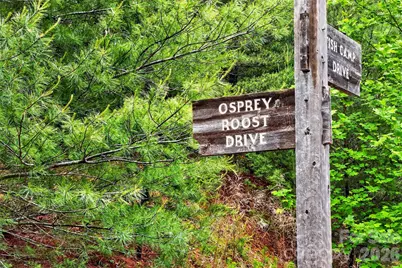 159 Osprey Roost Drive, Nebo, NC 28761 - Photo 37