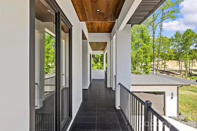 11220 Aubrey Elena Court, Davidson, NC 28036 - Photo 17