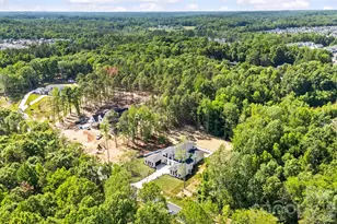 11220 Aubrey Elena Ct, Davidson, NC 28036 - Photo 7