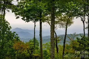 111 Wild Hog Crk Rd, Rosman, NC 28772 - Photo 27