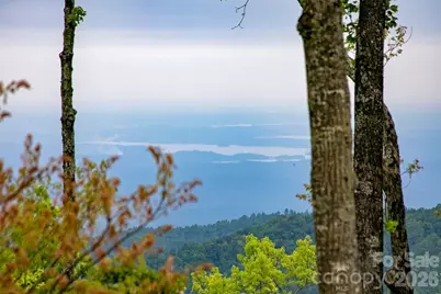 111 Wild Hog Creek Road, Rosman, NC 28772 - Photo 5