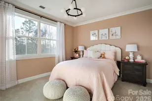 1020 Cobalt Dr, Tega Cay, SC 29708 - Photo 11
