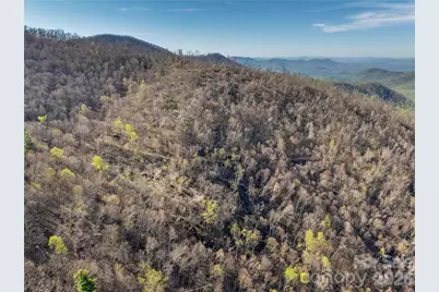 48 Benfield Road, Weaverville, NC 28787 - Photo 13