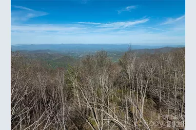 48 Benfield Road, Weaverville, NC 28787 - Photo 19