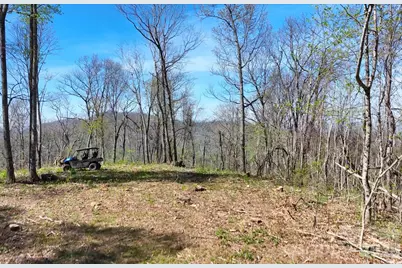 48 Benfield Road, Weaverville, NC 28787 - Photo 3