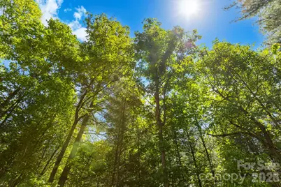 151 Riverbend Forest Drive, Asheville, NC 28805 - Photo 23