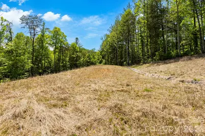 151 Riverbend Forest Drive, Asheville, NC 28805 - Photo 1