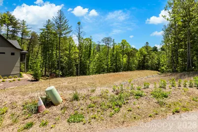 151 Riverbend Forest Drive, Asheville, NC 28805 - Photo 21