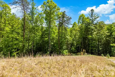 151 Riverbend Forest Drive, Asheville, NC 28805 - Photo 19