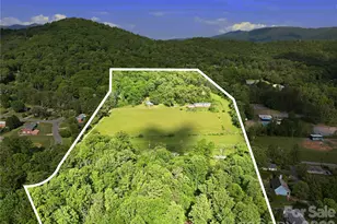 767 New Haw Creek Rd, Asheville, NC 28805 - Photo 3