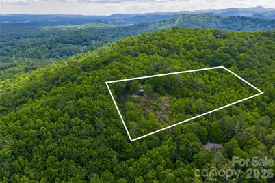 162 Merrills Chase Road, Asheville, NC 28803 - Photo 43