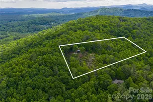 162 Merrills Chase Rd, Asheville, NC 28803 - Photo 43