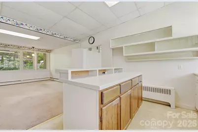 20 Reed Road, Asheville, NC 28805 - Photo 11
