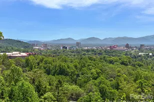 127 N Griffing Blvd, Asheville, NC 28804 - Photo 9