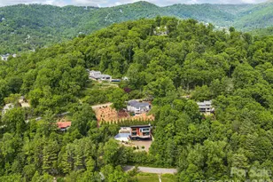 127 N Griffing Blvd, Asheville, NC 28804 - Photo 47